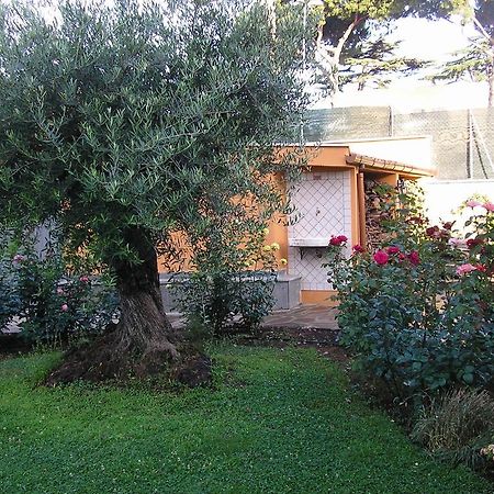 Bed and Breakfast Al Vecchio Olivo Frascati Esterno foto