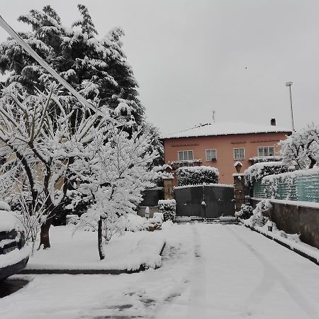 Bed and Breakfast Al Vecchio Olivo Frascati Esterno foto