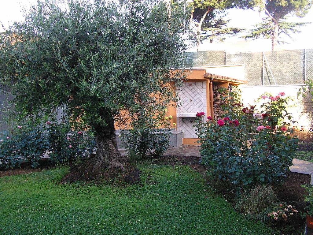 Bed and Breakfast Al Vecchio Olivo Frascati Esterno foto