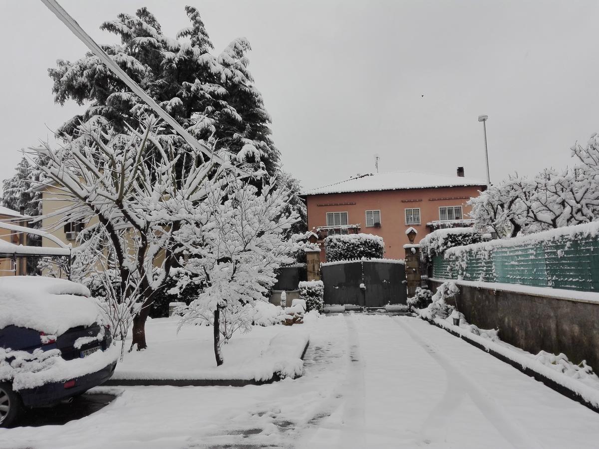 Bed and Breakfast Al Vecchio Olivo Frascati Esterno foto