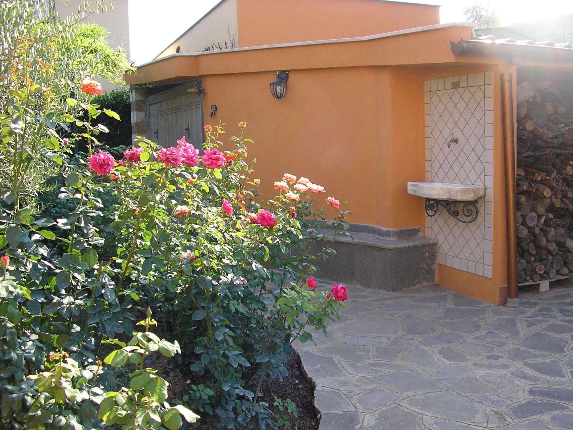 Bed and Breakfast Al Vecchio Olivo Frascati Esterno foto