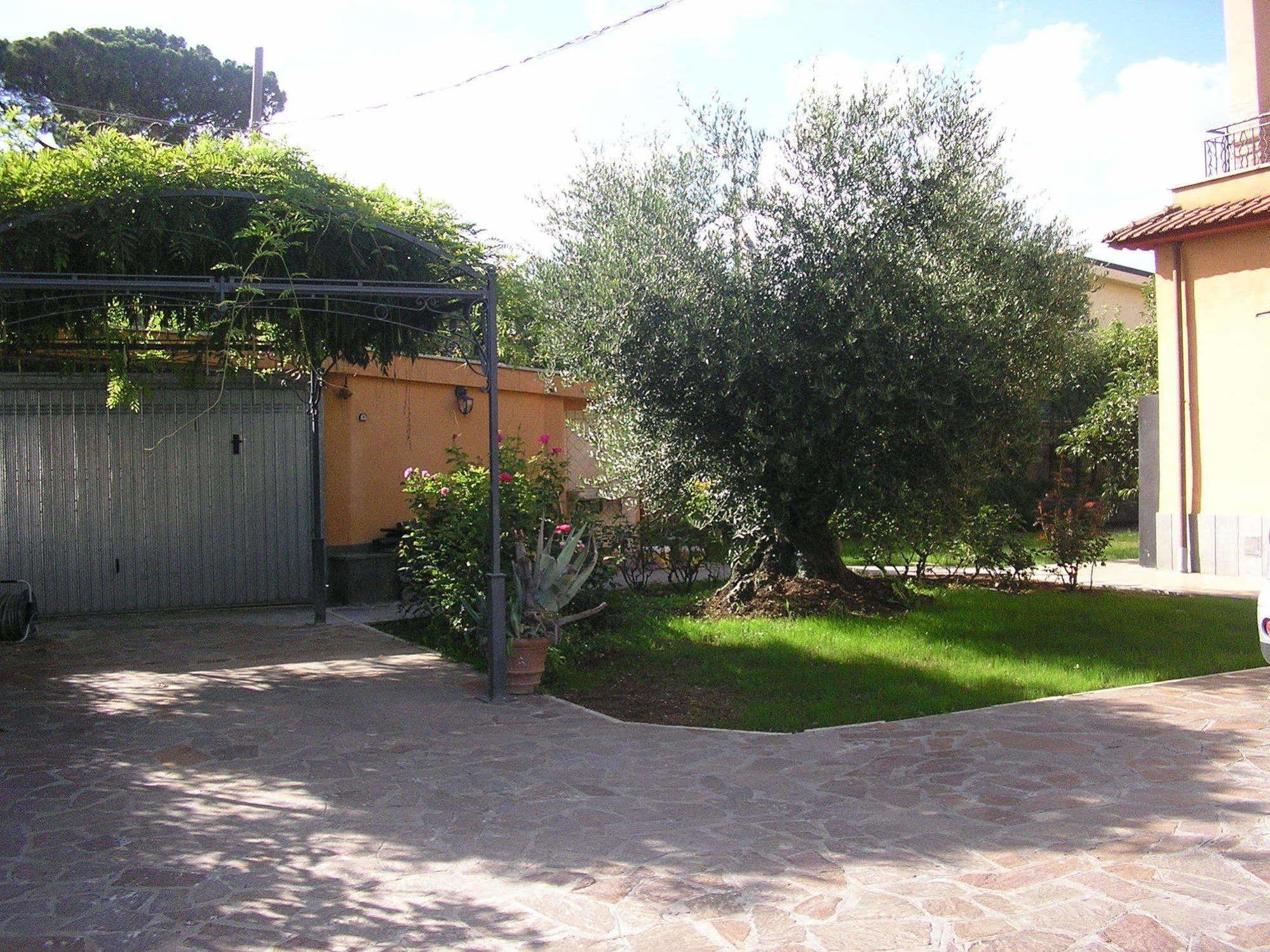Bed and Breakfast Al Vecchio Olivo Frascati Esterno foto